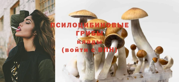 прущий лед Горно-Алтайск