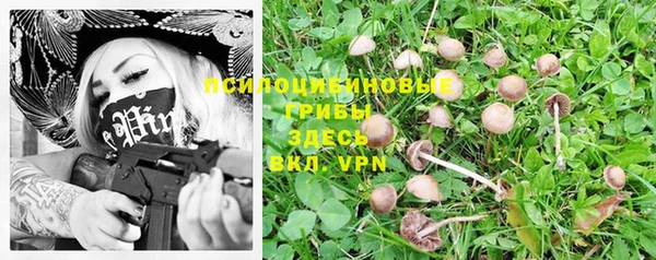 спайс Горнозаводск