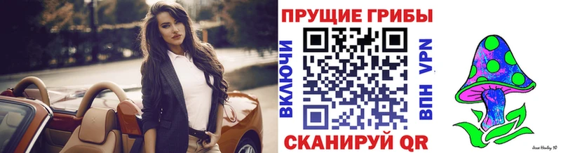 MEGA как войти  где продают наркотики  Горячеводский  Галлюциногенные грибы ЛСД 